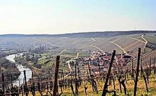 Escherndorf und Weinbau in Stellagen