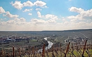 Panorama Vogelsburg